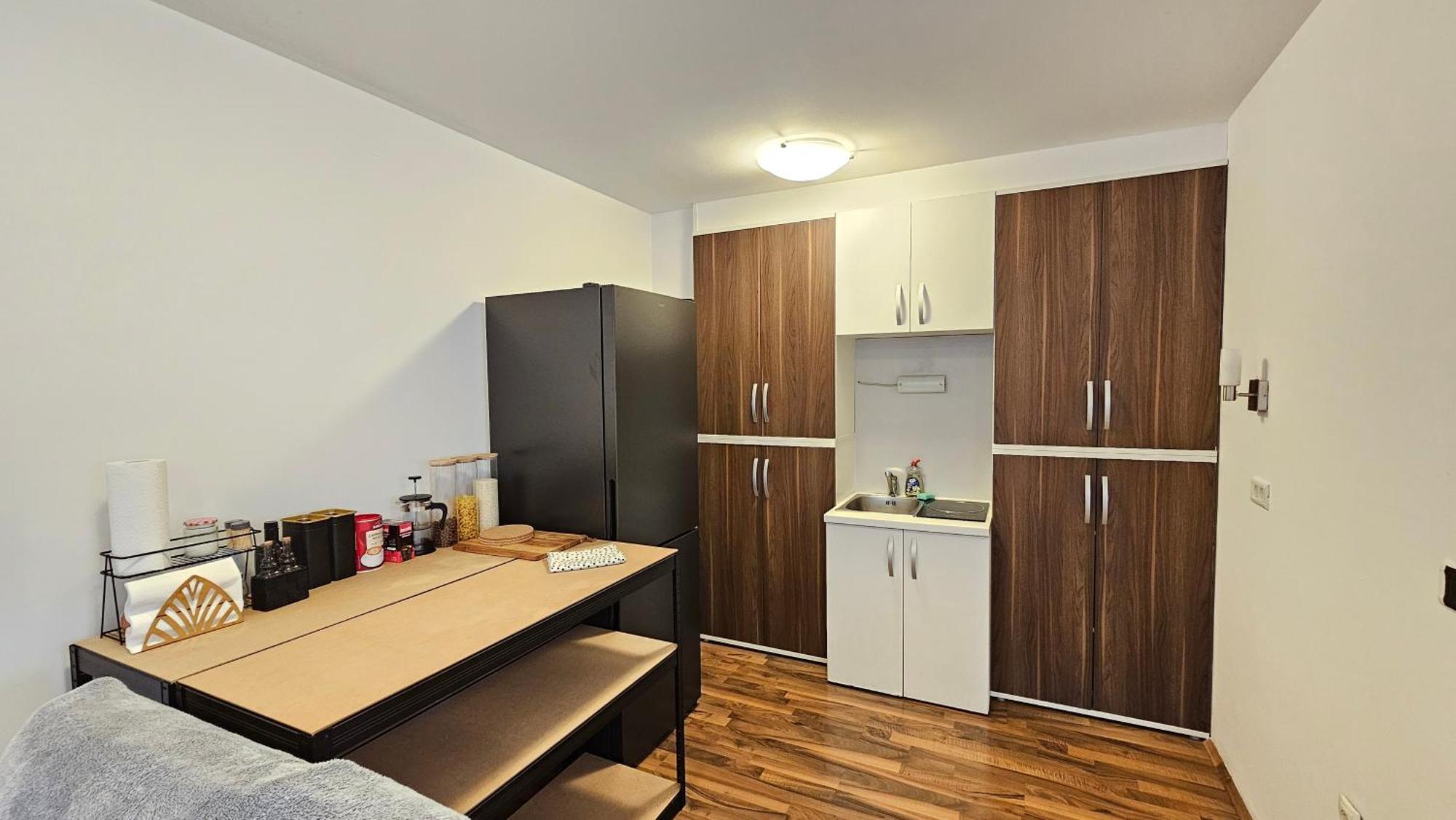 Industrial Vibe Flat Apartament Lublana